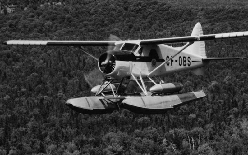 de Havilland Canada DHC-2 Beaver en vol